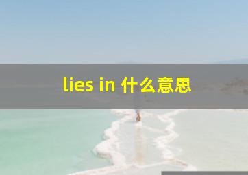 lies in 什么意思